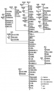 西服有哪些工序？貴在哪里？